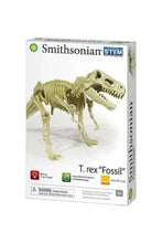 Load image into Gallery viewer, Smithsonian T. Rex "Fossil" Toy Kit