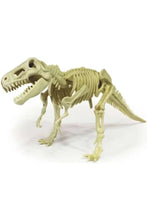 Load image into Gallery viewer, Smithsonian T. Rex "Fossil" Toy Kit