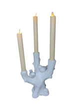 Load image into Gallery viewer, White Brids &amp; Tree Candelabra
