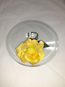 Glass Disk Flower Vase